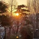 기장군청 이미지