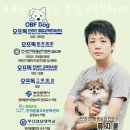 오프독 반려견 종합교육문화센터 이미지