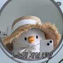 메리고제니 | 내 취향 가득 담긴 날들