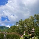 나라애견 이미지