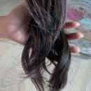 올리브헤어필 | 바르는 헤어 트리트먼트 추천 닥터탑 헤어필 hairfeel 3X