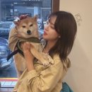 안양천로 이미지