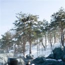 설악워터피아옥외수영장 이미지