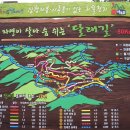 종합  안내판 이미지