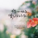 [07/22] 캘리그라피 취미반 이미지