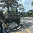 강북패밀리헤어 | 파라스파라 서울 호캉스 파인패밀리스위트 내돈내산