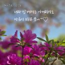 전주 인후동 맛집"일상"카페 가성비에 우리 동네 ‘착한 카페’ 샌드위치 세트 솔직 후기