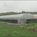 윤씨농장 이미지