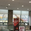 사프리카 더 캠프 | 요즘 지연) 이제 진정한 뜨개인일까요? 제철 병렬뜨개의 계절입니다 🧶