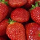 먹방농장1 이미지