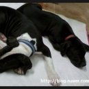 시간속의 추억 이미지