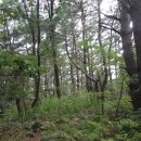 하동경로당 이미지