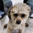 하이 동물병원 이미지