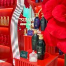 폴살롱 | 올리브영 강남팝업 살롱 드 츠바키에서 만난 신제품 헤어 폴 케어&amp;리페어 사용 후기