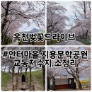 옥천군동이면석탄보건진료소 | 옥천 벚꽃명소 총집합 안터마을, 지용문학공원, 교동저수지, 소정리 벚꽃길 실시간 개화상황 (25.4.10) ♪