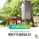 구립신비어린이집 | 지속 가능한 녹색도시 구현, 계양구가 앞장섭니다.