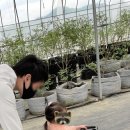 덕평농장 이미지