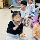코스모스ㅡ리듬악기🥁🎶1 이미지