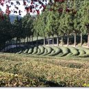 다원약국 이미지