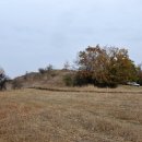 CW-1329-01 이미지