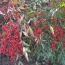 남천식품 이미지