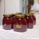 파파레브 이미지