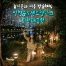 숲에온 | 숲에온아이들 여름 밤 곤충 숲체험으로 아이들과 특별한 주말 추억 만들기