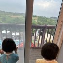 아일라리조트 | [여행] 아이랑 태안여행 : 가성비 좋은 아일라리조트 숙박 후기