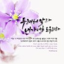 추억의 날개 이미지