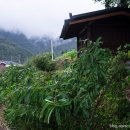 임계초 문래분교장 이미지