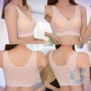 더아이스포츠