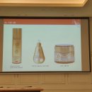 미르메딕스 이미지