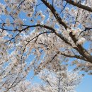 다대동의한의원 이미지