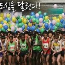 2014 대구국제마라톤대회 거리응원.공연 신청 받습니다. 이미지