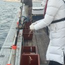 울진 비소 제13호 | 열기 외줄 털털이 낚시 준비 : 낚시대, 채비, 봉돌