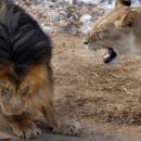 기타부부 이미지