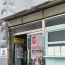 왕짱애견유치원 | [부산/광안리]광안리 애견동반카페 광안리 강아지카페 마요네즈 애견유치원 체험 후기