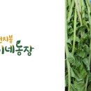 숙이네농장 이미지