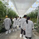 (주)스마트여행사 이미지