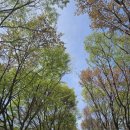 달천로(중1-149) | 집에서 20분! 안성 신안CC 오렌지코스 첫 라운드 후기 🍊 "또 가고 싶은 골프장 발견했다"