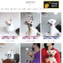 몽타운 이미지