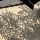 카사펜션민박 이미지