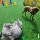 행복유치원 이미지