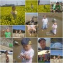 꽃지가는길 이미지