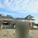 다성식당 | 여행 4일차 [교토에서 오사카 가는 방법 ㅣ 기시와다성ㅣ쿠로몬 시장 오코노미야끼ㅣ 난바 칼디ㅣ...