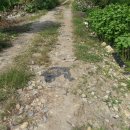 1980공인중개사사무소 이미지