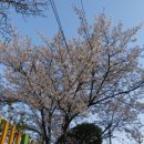 교문2동 행정복지센터 앞 이미지