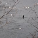 주홍민박 이미지