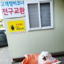 초이자동차용품