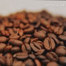 수원정자스터디뱅크독서실